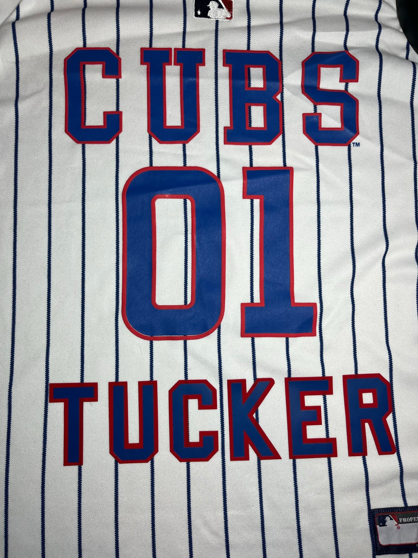 custom pet jersey